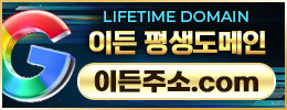 평생도메인